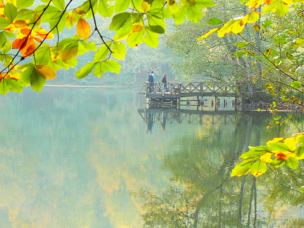 Bolu